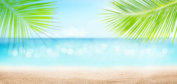 istock Summer tropical sea with sparkling waves, sand and blue sunny sky 1243196282