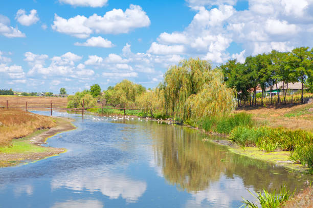 village and flowing river , rustic summer scenery