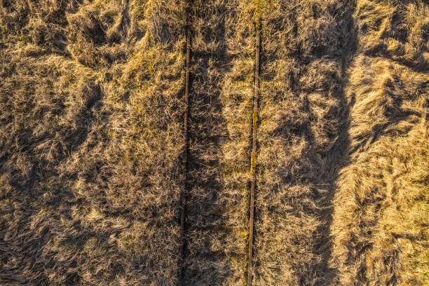istock Drone photography of old rusty railroad 1243229712