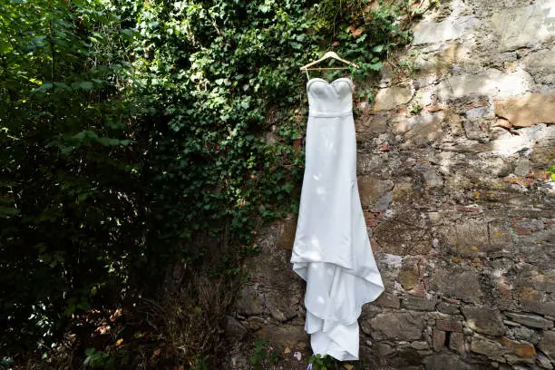 Wedding dress on a hanger. Hanging on the wall. Near the greens.