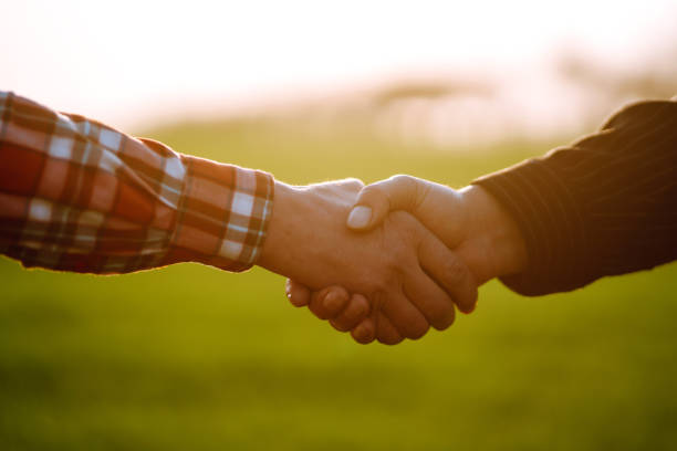 istock People shaking hands in a wheat field, farmer's agreement. 1243232436