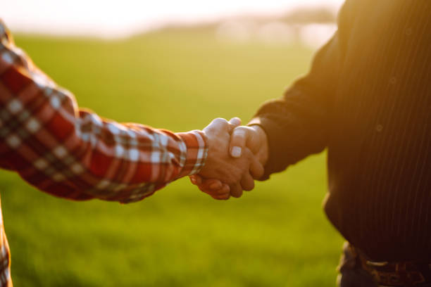 istock People shaking hands in a wheat field, farmer's agreement. 1243236780