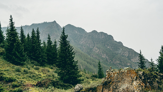 mountain range with rocky ledges and coniferous forest, tourist route for hiking