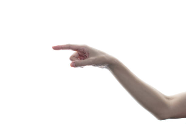 istock Woman hand touching or pointing to something isolated on white background. 1243241047