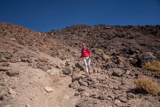istock woman traveler 1243242128