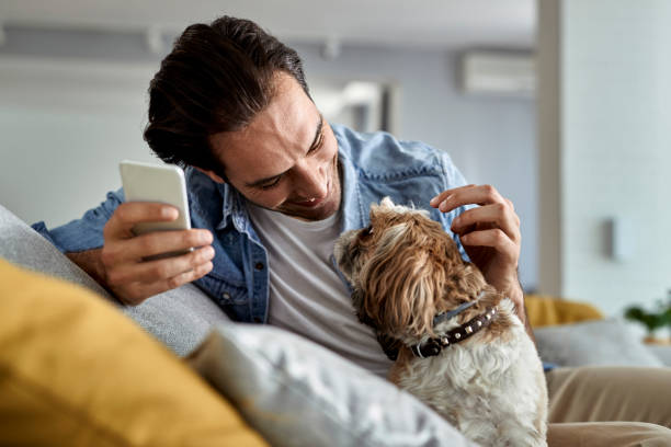 istock Happy man enjoying with his dog while using cell phone at home. 1243244396