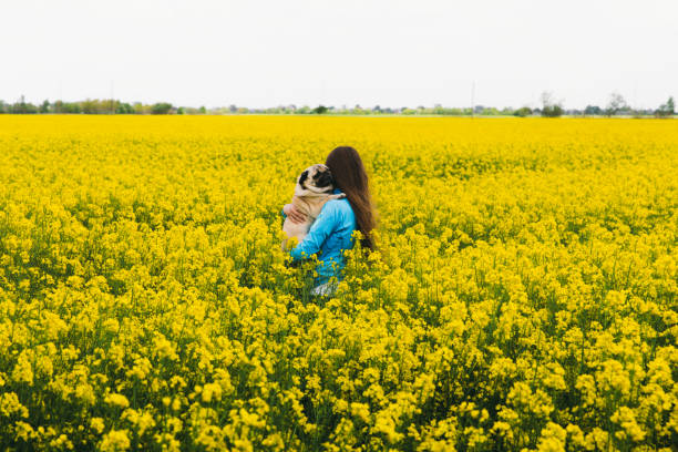 istock Felling happiness hidden in the yellow flower field 1243246128