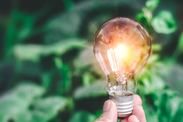 istock Ecology energy efficiency concept. Hand holding light bulb against nature on blurred tree background. Researching energy sources for renewable, sustainable development, save energy. 1243247413