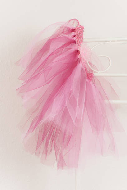 istock Beautiful vintage look tutu 1243250804