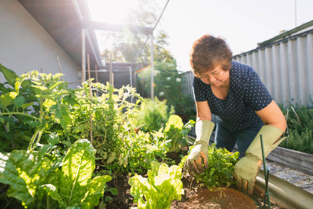istock Gardening in the Back Yard 1243260707