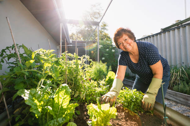 istock Happy to be Gardening 1243262372