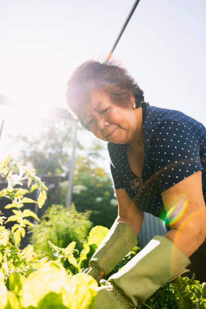 istock Senior Woman Gardening 1243263442