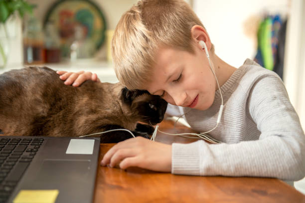 chłopiec przytula się z kotem - six animals audio zdjęcia i obrazy z banku zdjęć
