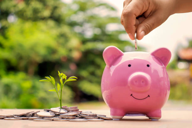 istock A sapling or a small tree planted on a pile of coins, including a hand that holds a coin on a piggy bank to save money, saving ideas and saving money. 1243268444