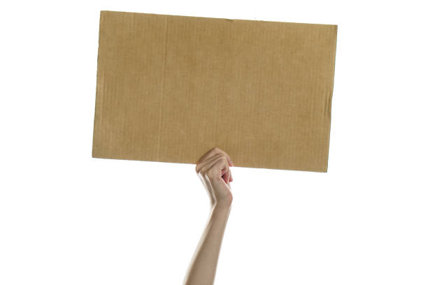 istock Woman hand holding a blank placard to put the text. 1243272276