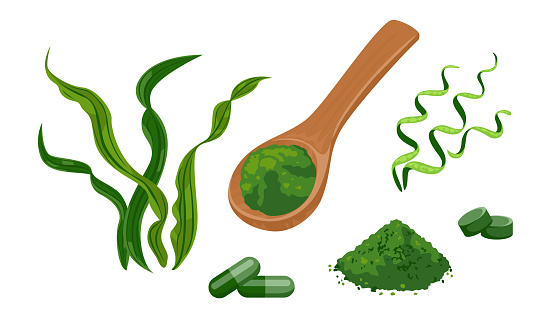 Spirulina set of vector illustrations. Wooden spoon with spirulina powder, seaweed pills isolated on white background. Dietary supplement in cartoon flat style.