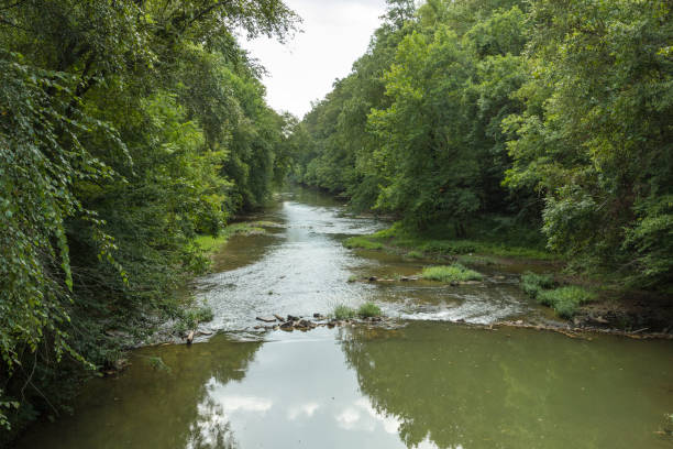istock On a bridge over looking river flowing over rocks between thick green trees 1243284773