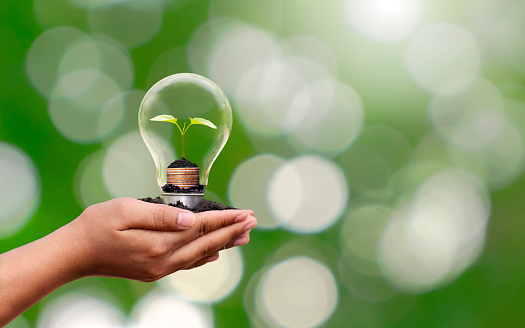 The hand of a young woman carrying an energy-saving light bulb with a small tree growing on money, energy saving ideas and using renewable energy.