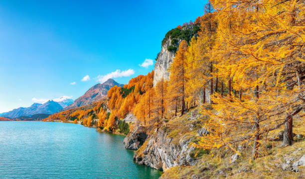 istock Fantastic autumn scene in Swiss Alps 1243303056