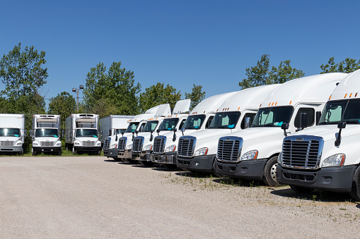 Indianapolis - Circa June 2020: Freightliner Semi Tractor Trailer Trucks Lined up for Sale. Freightliner is owned by Daimler.