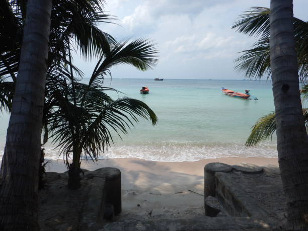 istock Sai ri beach in Koh tao 1243310637