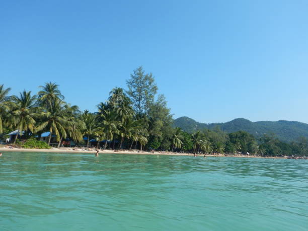 istock Sai ri beach in Koh tao 1243315463