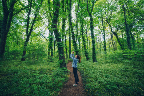 Woman photographing trees with a smartphone