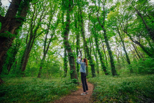 istock Woman walking alone in the forest 1243322629