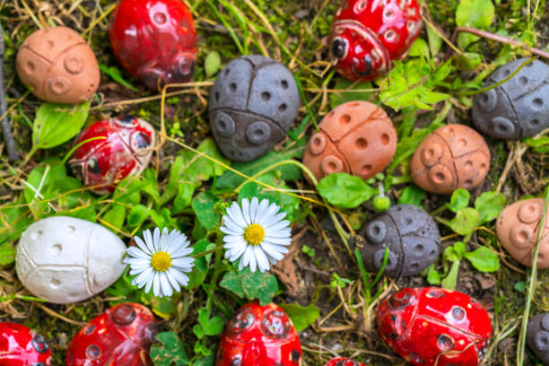 istock Ladybug in the grass smelling flowers 1243325372