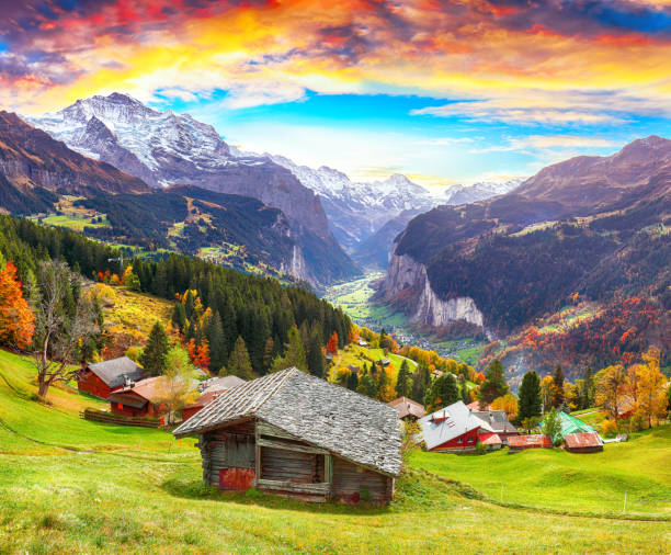 Awesome autumn view of picturesque alpine village Wengen Fabulous autumn view of picturesque alpine Wengen village and Lauterbrunnen Valley with Jungfrau Mountain and  on background. Location: Wengen village, Berner Oberland, Switzerland, Europe. jungfrau stock pictures, royalty-free photos & images