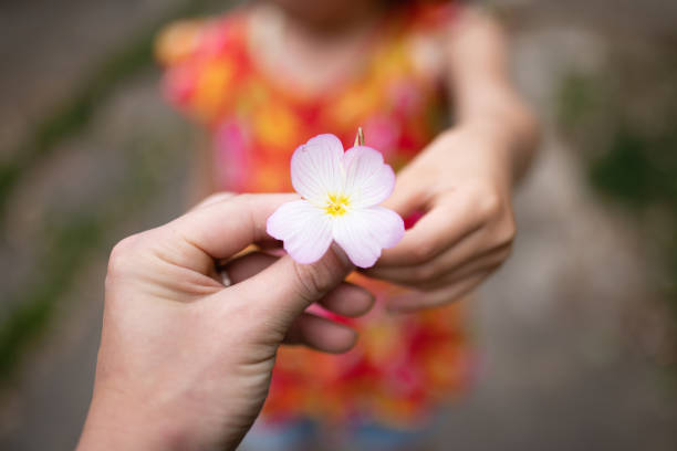 istock Parent and child handing a small flower 1243346110