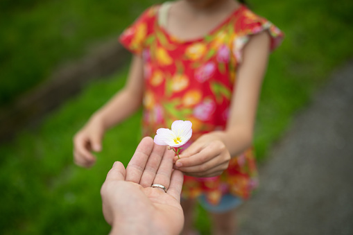 Parent and child handing a small flower