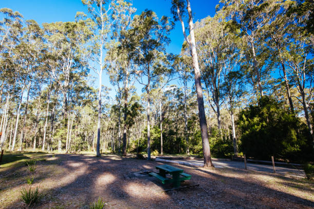 istock Bodalla Park and Lake Mummuga in Australia 1243348977