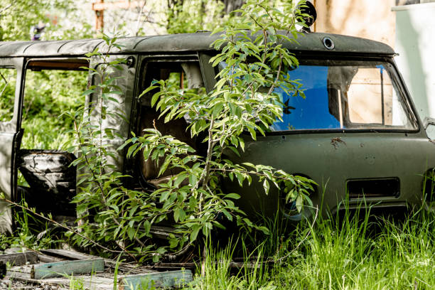 istock Old car lounging in the grass 1243355781