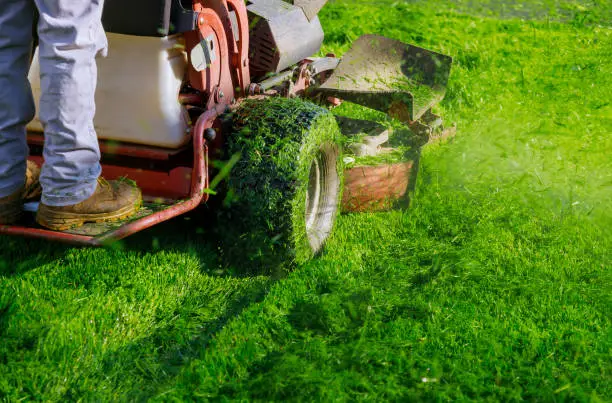 Photo of Cutting the grass gardening activity, lawn mower cutting the grass.