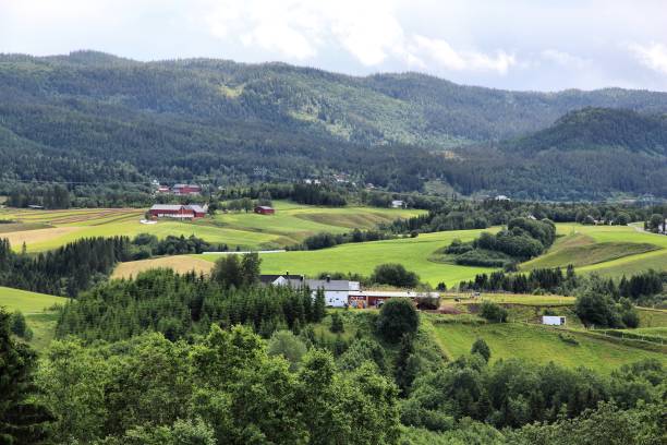 istock Norway countryside 1243372460