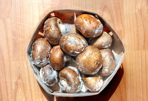 Moldy champignons in basket. Rotten mushrooms in box on wooden background, top view