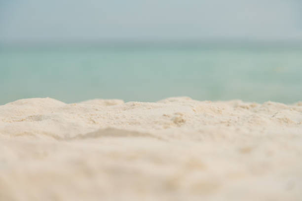 istock Blurred and soft focus sandy beach blue ocean and sky 1243414813