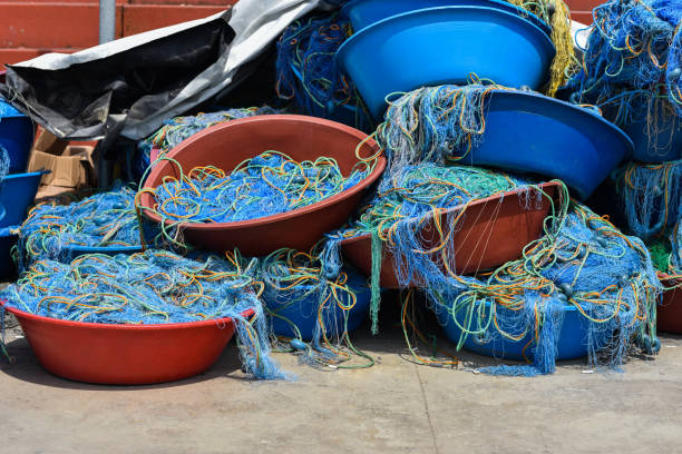 istock sea poaching fishing nets 1243440789