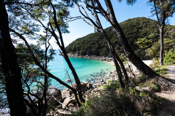 istock New Zealand beach 1243443714