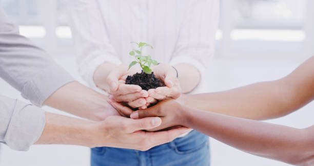 istock Our business is growing 1243448229