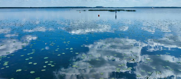 steinhuder meer vicino ad hannover, in germania, con nuvole riflesse e uno stock sciolto di ninfee - steinhuder meer foto e immagini stock