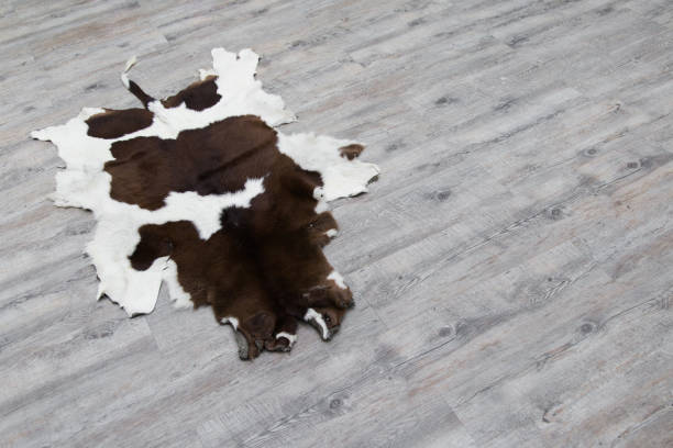 Cow skin carpet stock photo