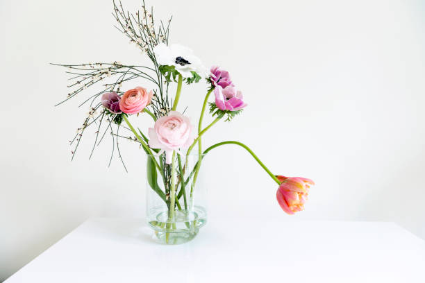 spring flowers in pastel colors, white background