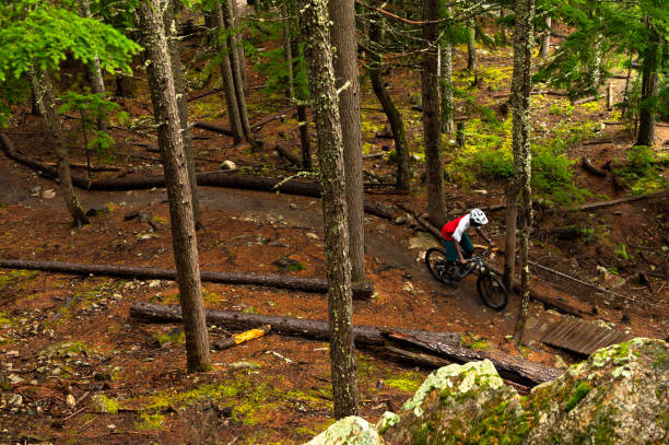 istock Mountain biking in the forest 1243489325