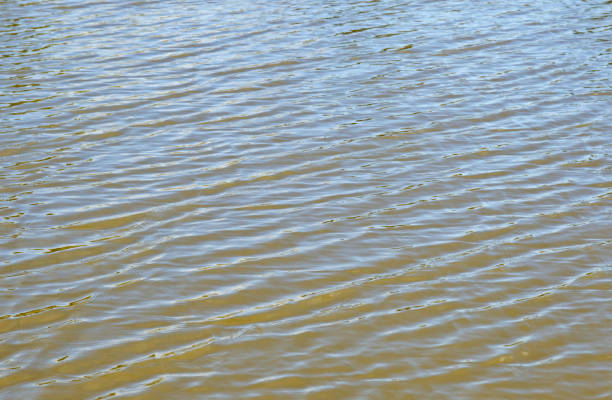 istock Soft gentle ripples on a lake 1243497922