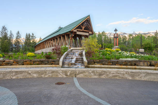 황금빛으로 발로 차는 말의 강을 가로지르는 횡단교 - landscaped spring canada footpath 뉴스 사진 이미지