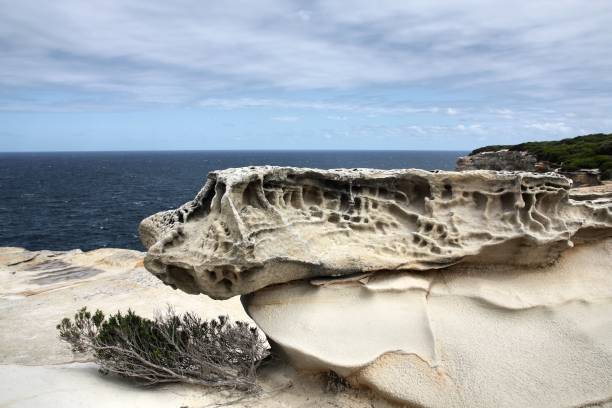 istock Australia Royal National Park 1243515493