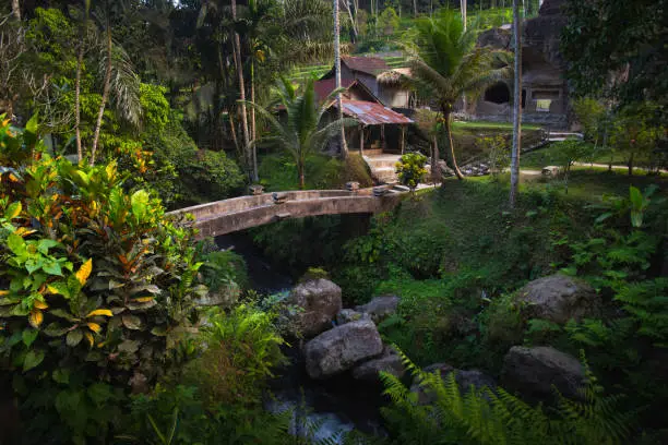 Bridge and river at Gunung Kawi jungle temple