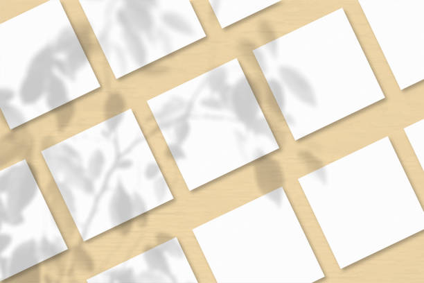 istock Several square sheets of white textured paper against a peach wall background.Natural light casts shadows from an exotic plant. Flat lay, top view 1243529739